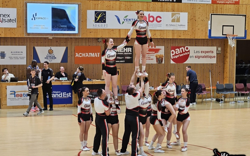 Vogesia Holtzheim vs ASA